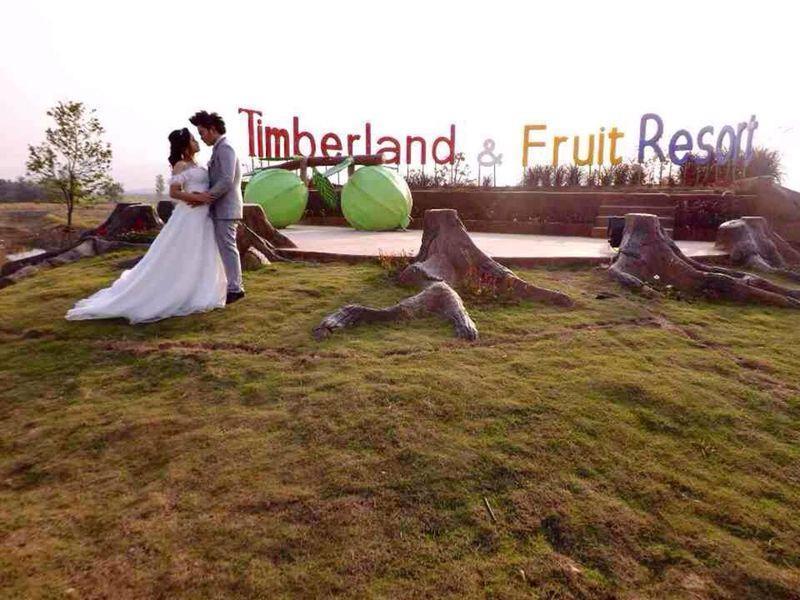 Timberland And Fruit Resort Pong Yo Exterior photo